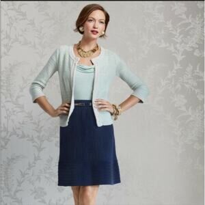 CAbi style 290 Navy Bon Voyage Knit Skirt VGUC size XS